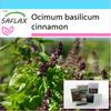 Gift Set - Cinnamon Basil - 200 Seeds - With Gift Box, Card, Label and Potting Substrate - Ocimum Basilicum