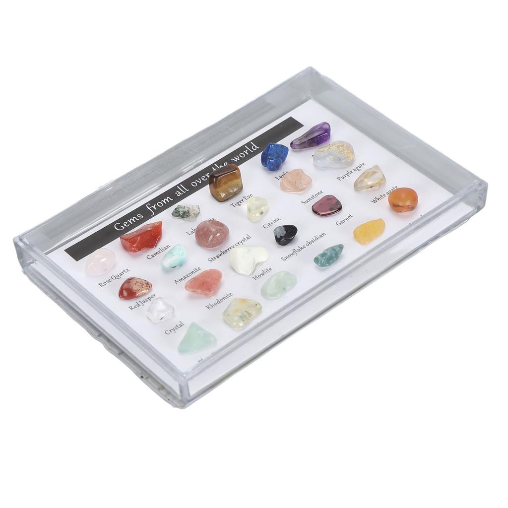 Mineral Rock Collection Kit Fun Attractive Rock Science Educational Kit with Clear Display Case for