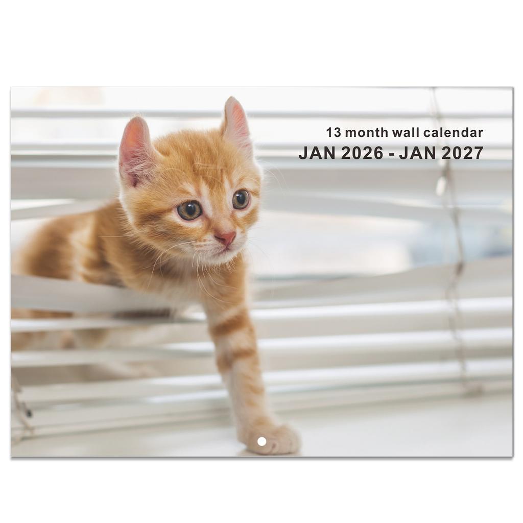 2026 Themed Wall Calendar English Monthly Calendar With 16 HD Photos