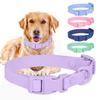 Macaron Color Adjustable Pet Collar Waterproof Cat Puppy Necklace Lightweight Dog Collar Cat