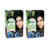 Henna Hair Color - Natural Black Pack of 2 - Vatika Naturals