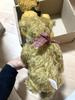 [USED] Antique Teddy Bear