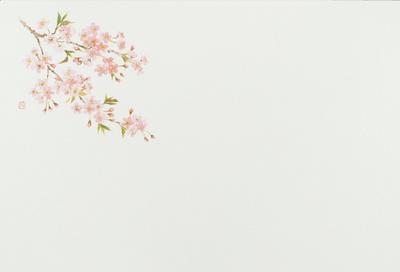 Daikoku Kogyo Стол Цветок вишни 26 x 38 100 Бумага "Для коммерческого использования" Коврики, Дизайн, см, Листы, Высококачественный