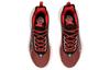 Li Ning BD5 уличная подошва нескользящая амортизация низкие баскетбольные кроссовки женские китайская живопись красный AGBR002-2