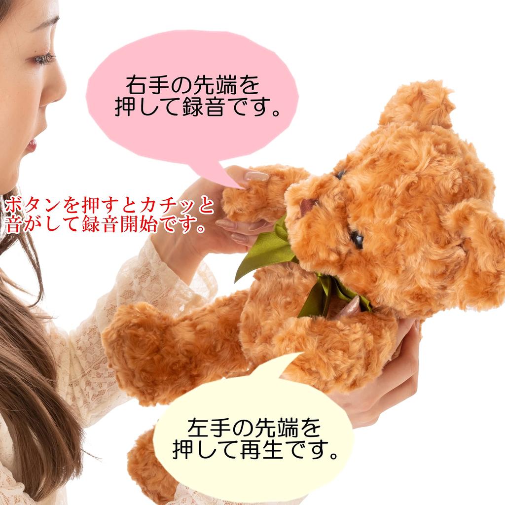 Active Island Teddy Bear 3 Minute Recording Stuffed Toy Gift Birthday Present Bear A578 (Brown)