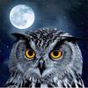 Full 5D Diy Diamond Painting Cartoon Animal Owl Diamond Embroidery Cross Stitch Home Decor Handmade