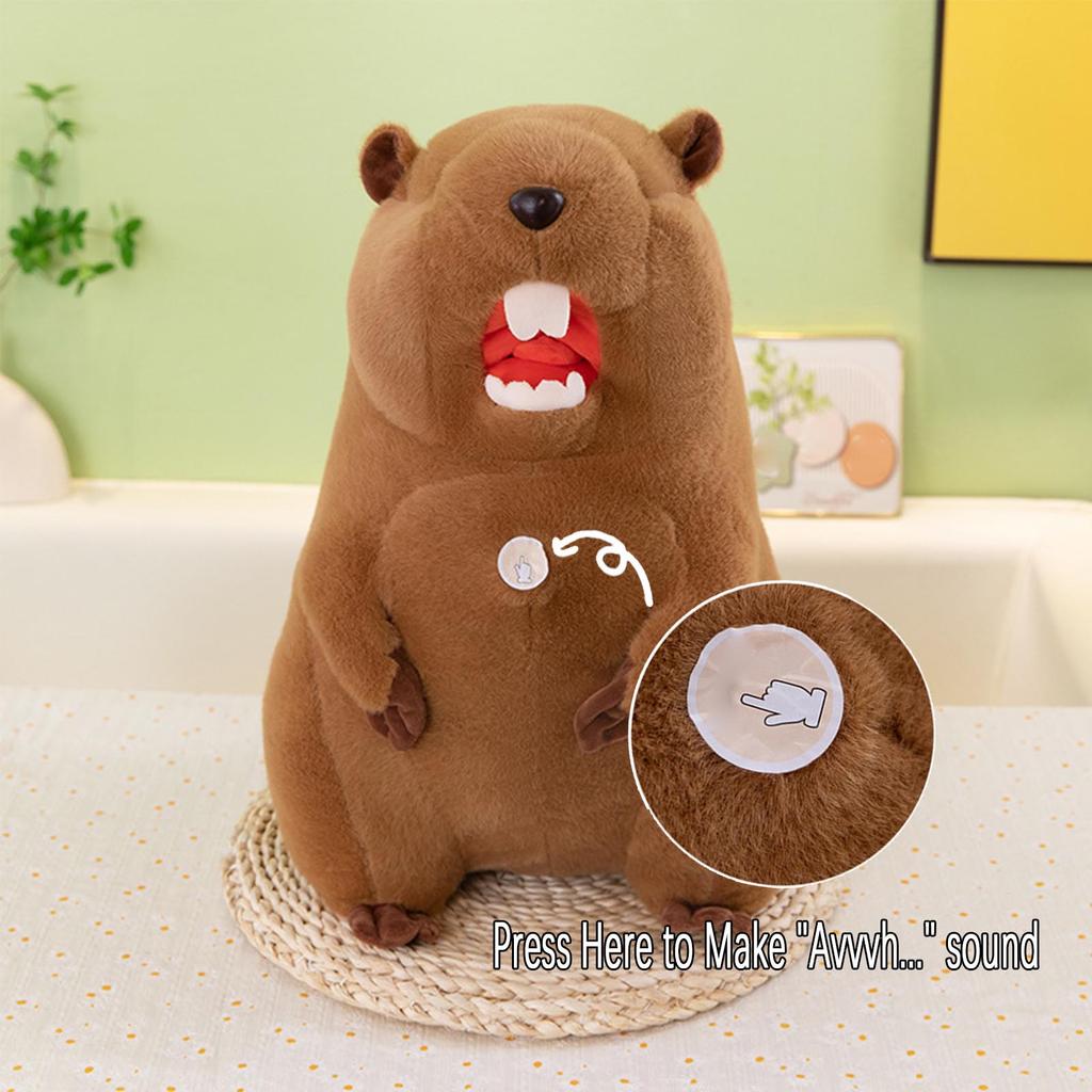 Plush Toys, Cute And Perfect Birthday Gifts For Friends And Classmates, Graduation Gifts