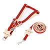 Cat traction rope Special traction small starfish nylon pet chest strap cute walking cat rope when going out to prevent breaking free
