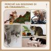Кошачье дерево 65 см, Кошачья башня для котят, Небольшой кошачий комплекс с сизалевыми столбиками для царапанья, Подвесная веревка, Полки - Коричневый