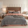 Solid Color Thickened Milk Fleece Four-Piece Set Double-Sided Fleece Coral Fleece Quilt Cover Flannel Bed Sheet Three-Piece Set