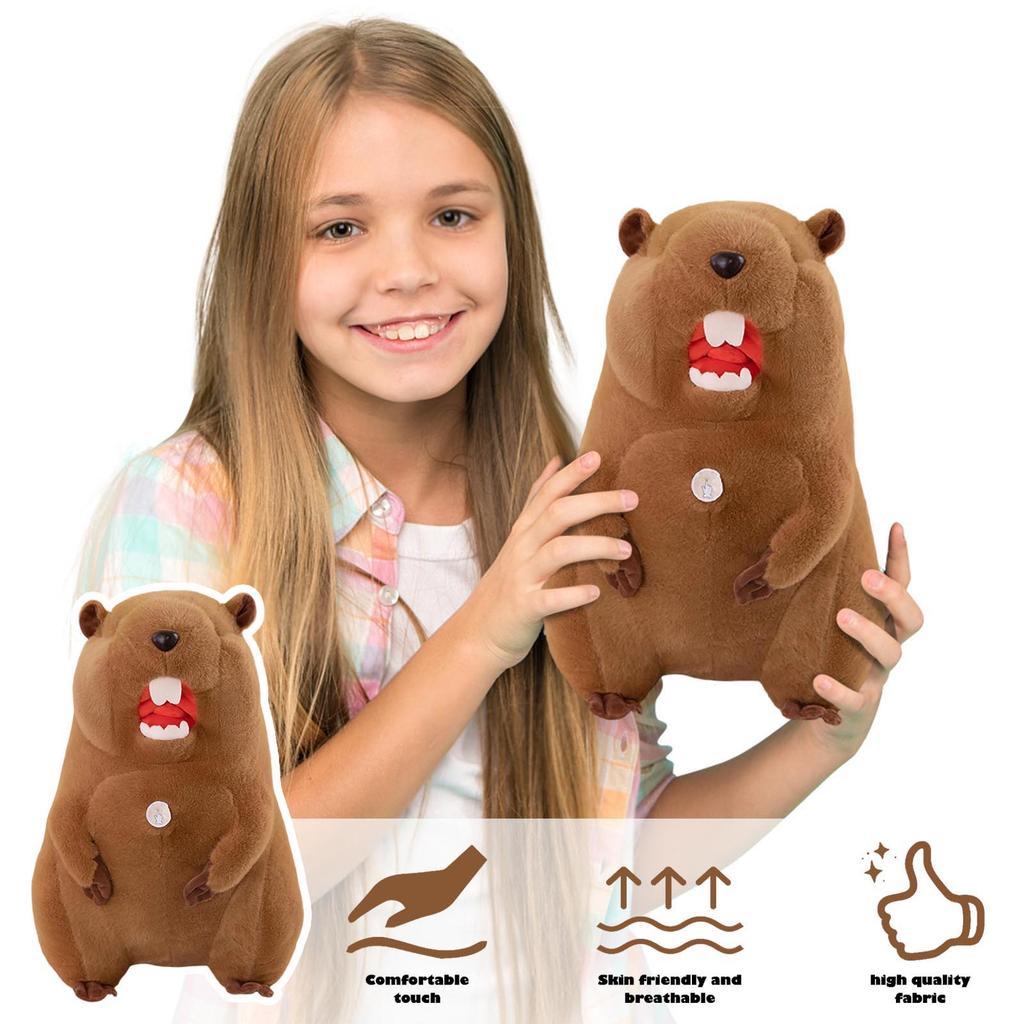 Plush Toys, Cute And Perfect Birthday Gifts For Friends And Classmates, Graduation Gifts