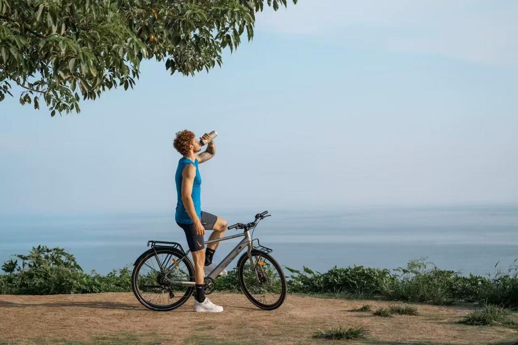 DYU Stroll 1 E-bike 250W Brushless Motor 36V9AH Battery Electric Bicycle 16Inch Tire City Electric Bike Riding assistance model, without throttle