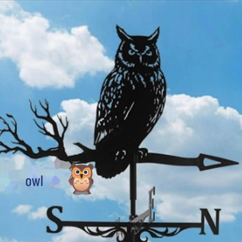 Stainless Steel Dragon Witch Weather Vane - Garden Wind Direction Indicator