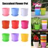 &Garden With Trays Desktop Decoration Mini Basin Succulent Plant Flowerpot Green Plant Flower Pot