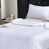 Yalu Mulberry Silk Duvet