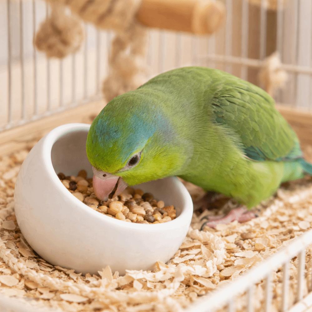 Cute Ceramic Hamster Food Bowl Anti-Rollover Slanted-edged Pet Feeding Bowl Non-Slip Anti-Spill Water Food Bowl Cage Accessory
