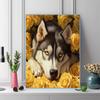 Siberian Husky and flowers Pattern  3pcs 100% Round Full Drill 5D DIY Diamond Painting Embroidery Cross Stitch Rhinestone Décor