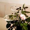 Swan Automatic Flower Pourer Glass Vase Crafts Hydroponic Animal Plant Waterer