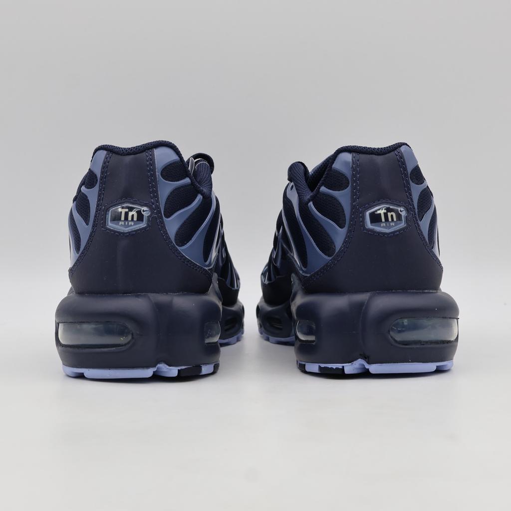 IM6601-451 Nike Air Max Plus Обсидиан Алюминий Рассеянный Синий (Мужской)