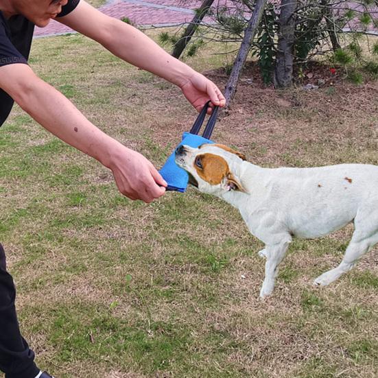 Собака Укус Палка Зубы Чистые Интерактивные Игровые Игрушки Тренировочное Оборудование Подушка Для Укуса Собаки