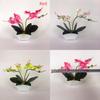 Green Phalaenopsis Faux Plant Bonsai Ornaments For Home Office Special Occasion
