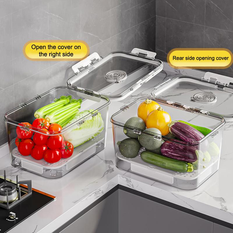 Picnic Box Clear Food Storage with Drain Plate for Easy Outdoor Use