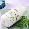 Jurlique Lavender Hair Care