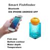 Подводный Умный Эхолот Подводный Умный Эхолот с Беспроводным Гидролокатором Звуковой Эхолот Эхолот Рыбалка на Открытом Воздухе