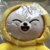 [USED] StrayKids Felix Pogari Ien Plush Toy