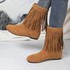 Fashion Ladies Shoes 2024 High Quality Slip-on Women's Boots Fashion Tassel Modern Boots Women Winter Rivet Solid Mid-Calf Boots Zapatos