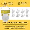 Wasp Trap Hanging Design Catch Flies Gnats Bees Wasps Trap Easy To Use And Clean Effective Insect Catcher for Patio Yard Garden Family Outdoors
