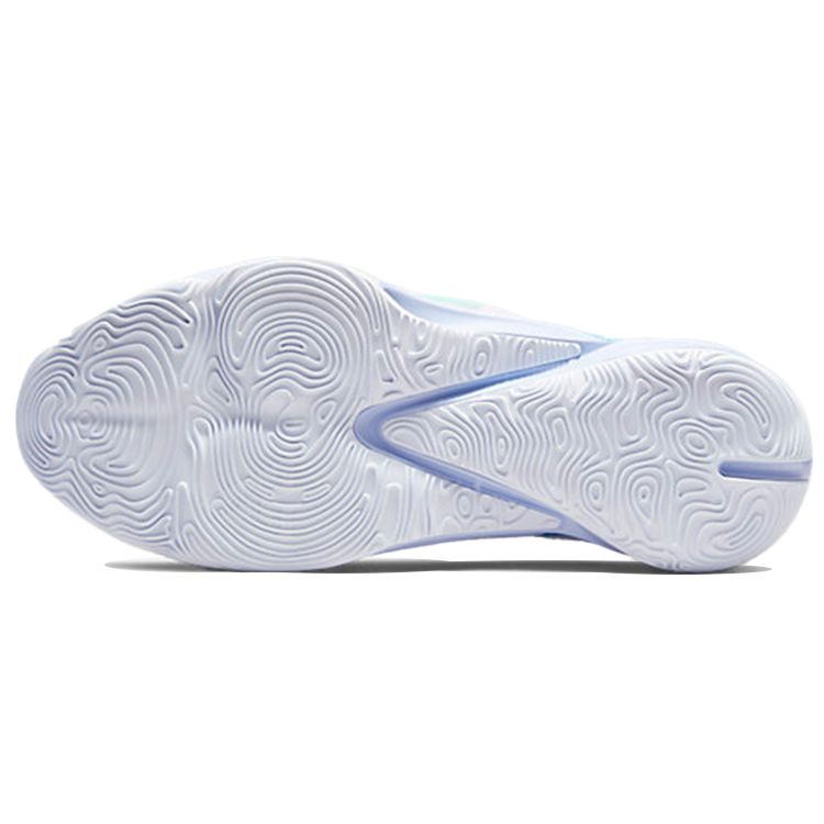 Nike Zoom Freak 3 EP Freezing Time Кроссовки унисекс Синий Голландский-Синий Металлик-Золотой DA0695-401