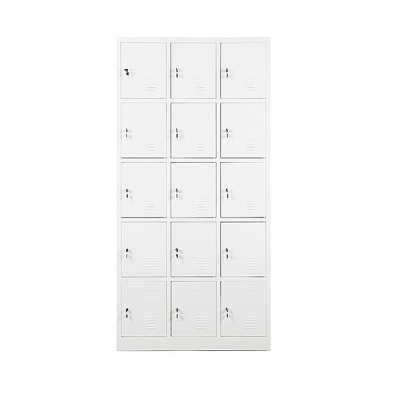 Lieve Industrial Multi-Compartment Storage Locker