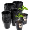 200x Production Pot Pots 6+9.5cm For Seedlings Soft
