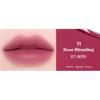 ETUDE Fixing Tint 4g (20 цветов)