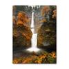 Waterfall Reed Wall Art Canvas Painting Nordic Posters And Prints Wall Pictures For Living Room Autumn Leaves Forest Deer Lake