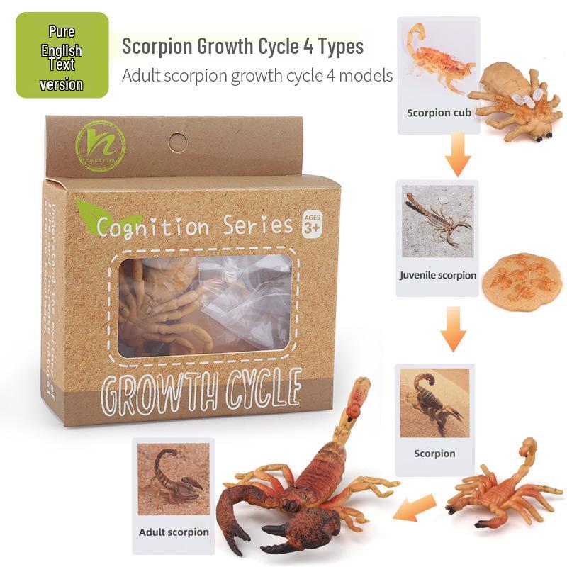 Montessori Animal & Plant Growth Cycle Teaching Toys for Kids