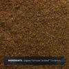 Organic Fair Trade Ceylon Cinnamon Powder, 16 oz (453 g)