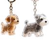 Clear Puppy Hair Memorial Keepsake Capsule Pet'S Dog Fur Container Diy Pendant Keychain Decor Pet Lovers Home Display Gifts