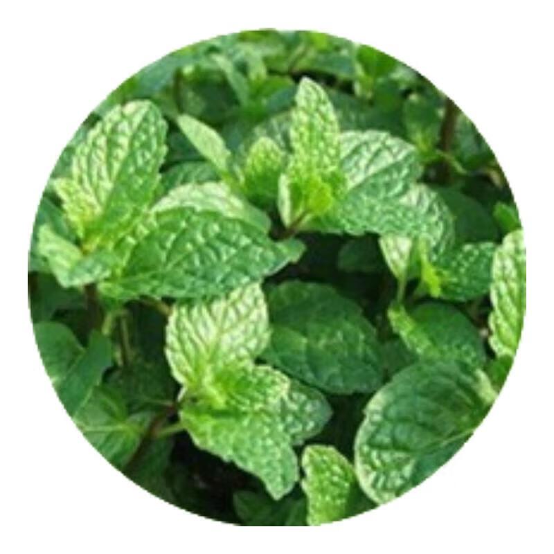 Травяная зубная паста Pien Tze Huang Oral Clear