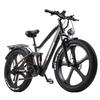RANDRIDE YX90M Urban electric bicycles 1000W motor 48V 14Ah battery 26x4-inch tires