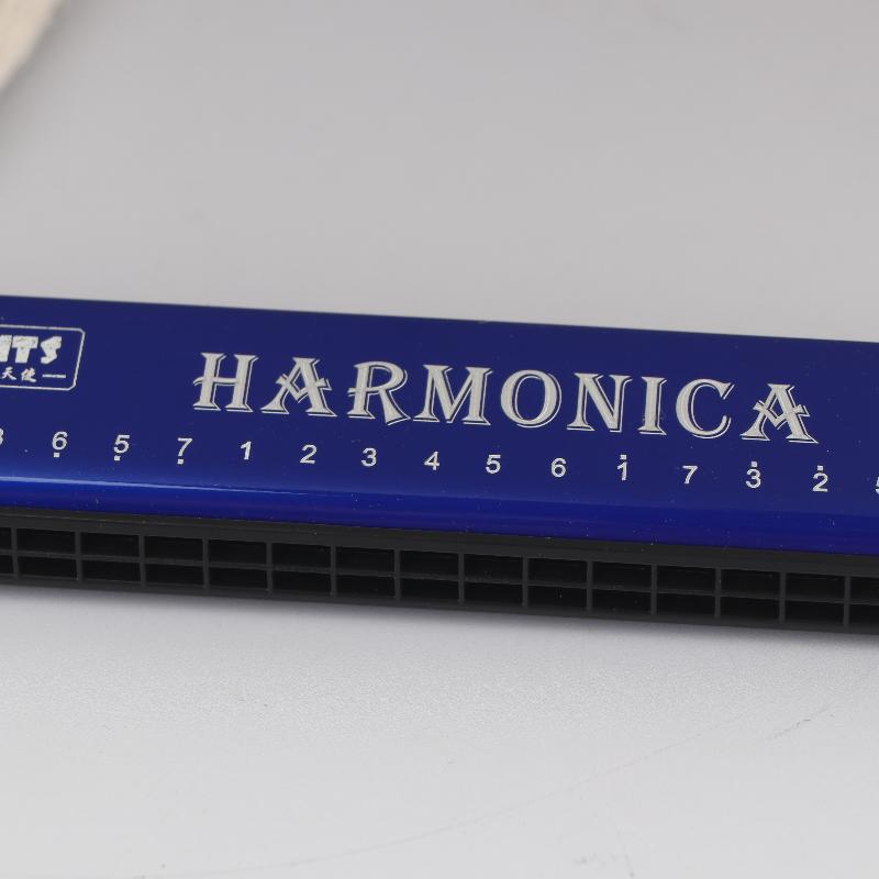 Harmonica Key Of C 24 Hole Diatonic Harmonica C With Case For Beginner Students Kids Gift Blues With Case