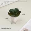 1/12 Scale Simulation Mini Potted Plant Model Dollhouse Decor Accessory Ideal Gift for Miniature Hobbyists