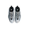 Air Jordan True Flight 'Cool Grey' 342964-025