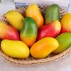 Набор из 6 искусственных манго для продуктовых выставок Убедительные имитации манго Украшение для продуктовых витрин и композиций