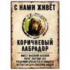 ОСТОРОЖНО СОБАКА Забавная Шнауцер Металлическая Табличка Декор для Питомца 20x30см