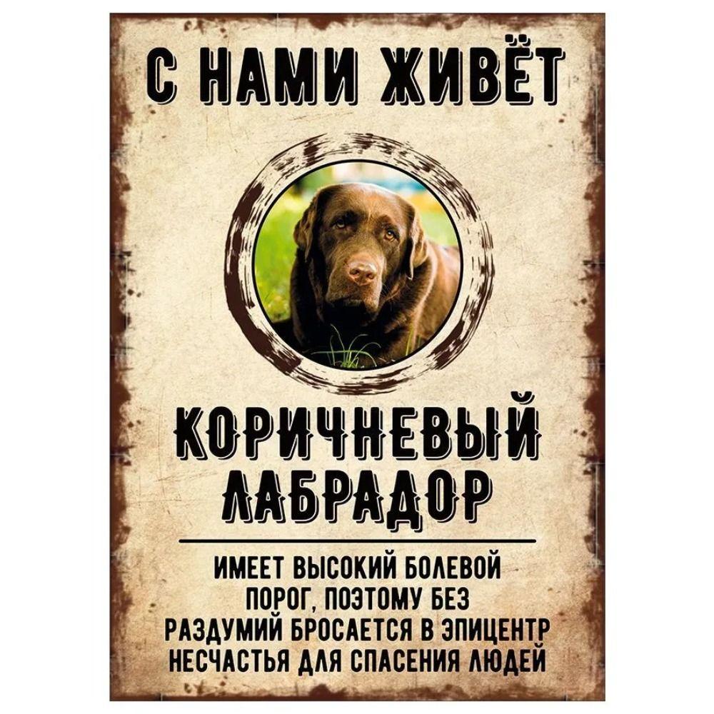 ОСТОРОЖНО СОБАКА Забавная Шнауцер Металлическая Табличка Декор для Питомца 20x30см