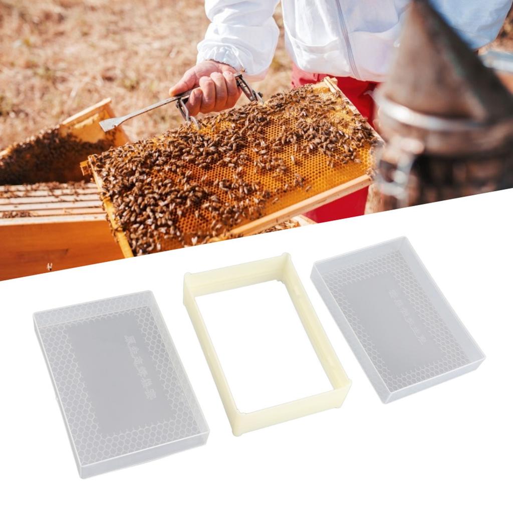 Plastic Beekeeping Comb Beehive Box Frame Set Kit Beekeeper Equipment