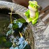 Cartoon Frog Panda Fishing Statue Resin Miniatures Figurine Garden Decor Animal Sculpture  Balcony