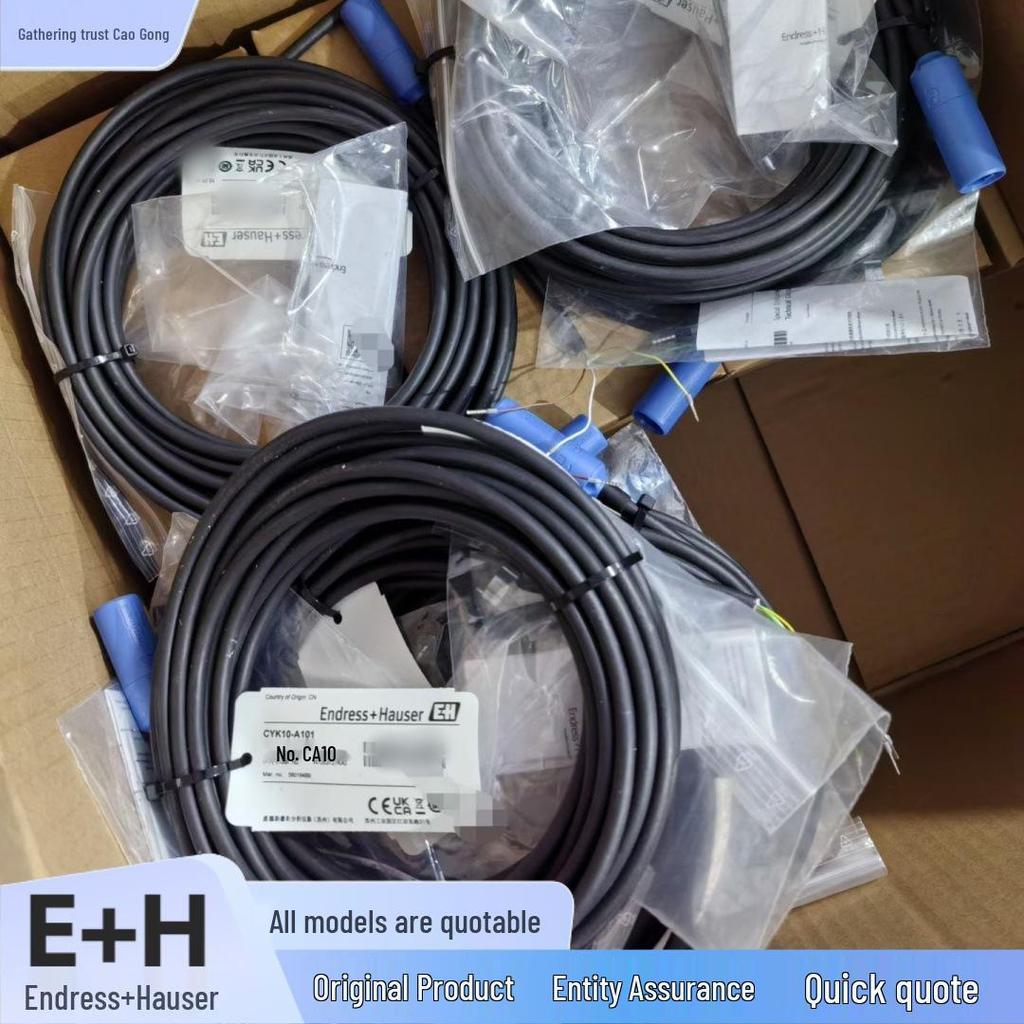 FTC262-AA42D1 E+H Endress+Hauser Емкостный конечный выключатель Доступен
